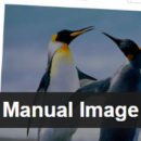 Wordpress плагин: Manual Image Crop