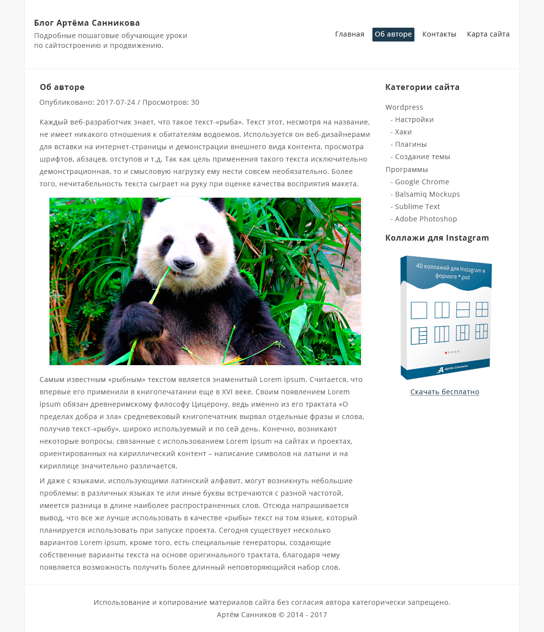 Дизайн страницы -page, для темы WordPress в Adobe Photoshop