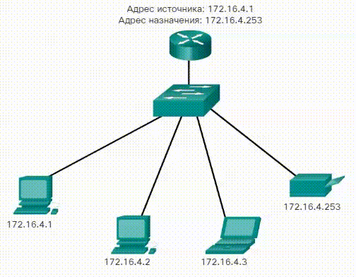 Сетевые IPv4-адреса. Одноадресная рассылка. CCNA Routing and Switching.