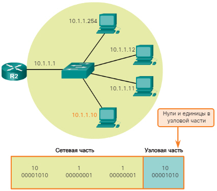 Сетевые IPv4-адреса. Сетевой адрес, адрес узла и широковещательный адрес. CCNA Routing and Switching.