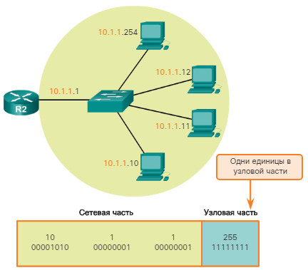 Сетевые IPv4-адреса. Сетевой адрес, адрес узла и широковещательный адрес. CCNA Routing and Switching.