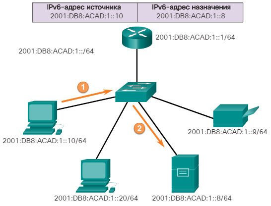 Сетевые IPv6-адреса. IPv6-адреса: типы. CCNA Routing and Switching.