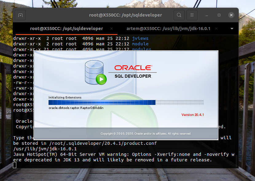 SQL Developer Oracle успешно запущен